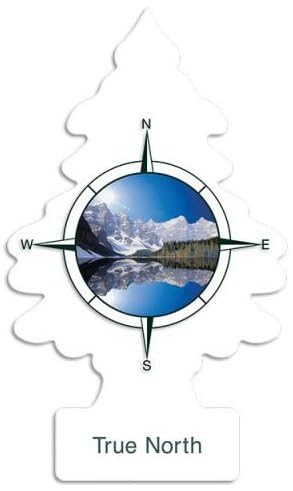 Little Trees Air Fresheners, True North (Pack Of 12)