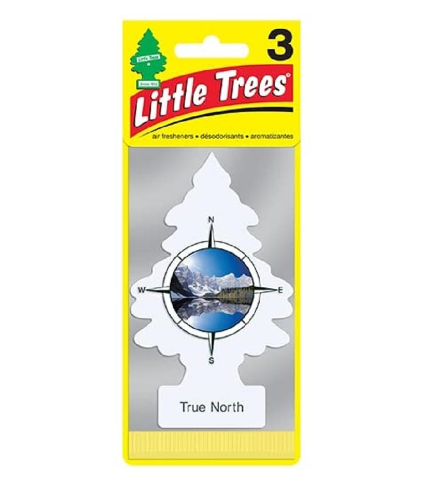 Little Trees Car Air Freshener | Hanging Paper Tree For Home Or Car | True North | 3 Pack